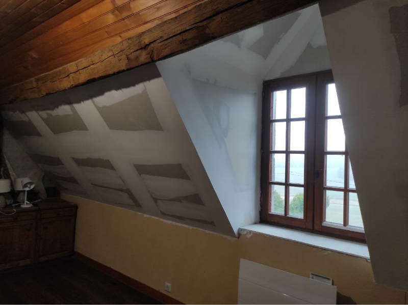 MNP Mahieux Nicolas Plaquiste Plaquiste Connerre 70