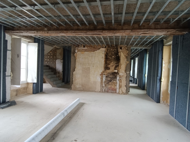 MNP Mahieux Nicolas Plaquiste Plaquiste Connerre IMG 20230523 131048